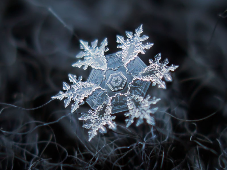 美しい雪の結晶