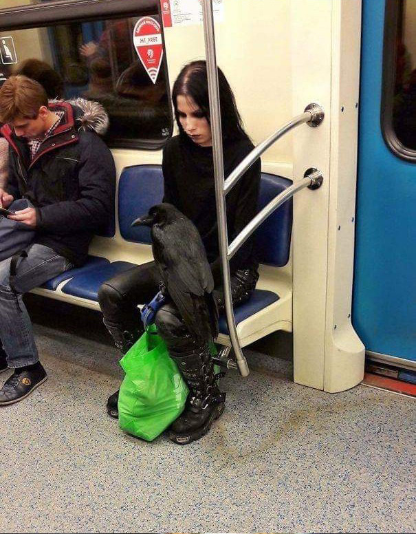 電車に乗る魔女