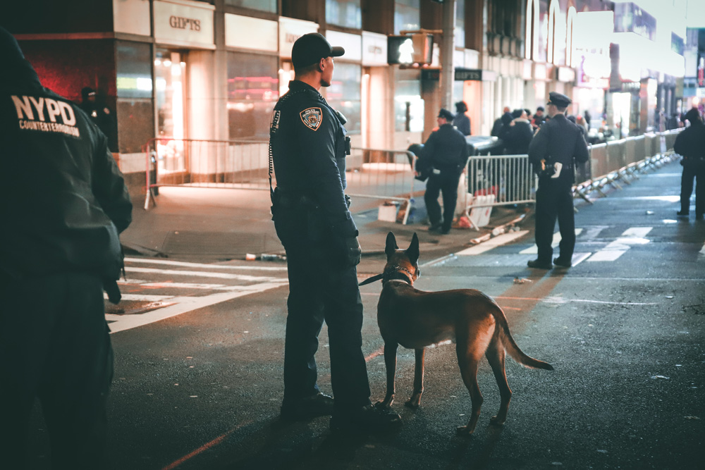 警察犬