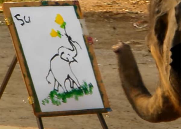 象のアート