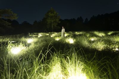 光色の草原 - カピラリス