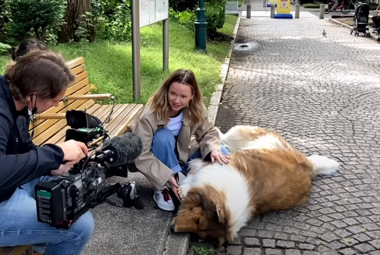 犬の着ぐるみ