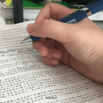 勉強の邪魔をするハムスター