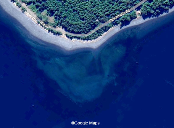 Googleマップに巨大なガイコツ