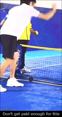 プロテニスプレーヤーサル