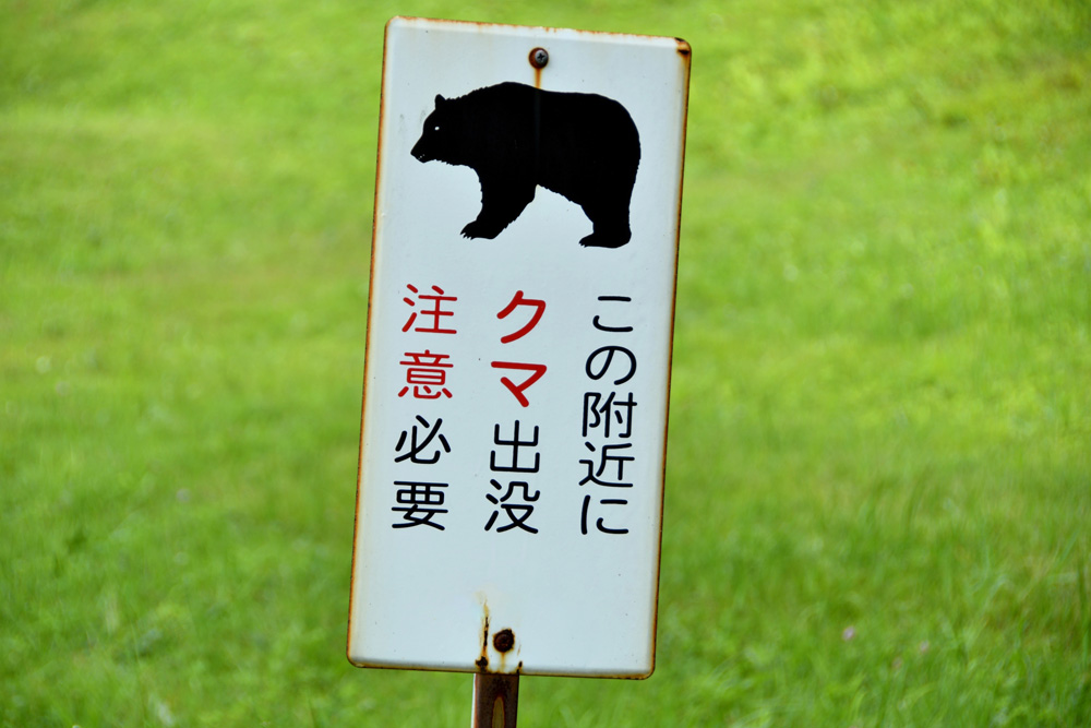 クマ注意