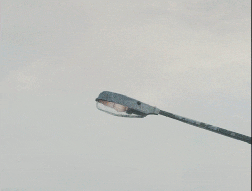 カモメが灯す街頭