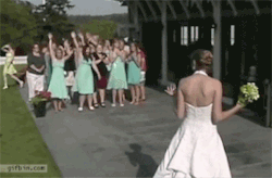 だれもとれないブーケ